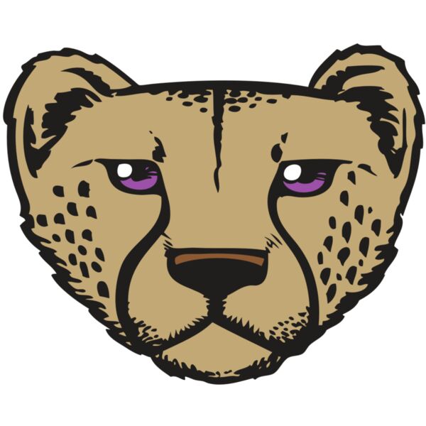 BAW CHEETAH 14 RC Thumbnail